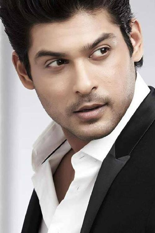Sidharth Shukla profile picture