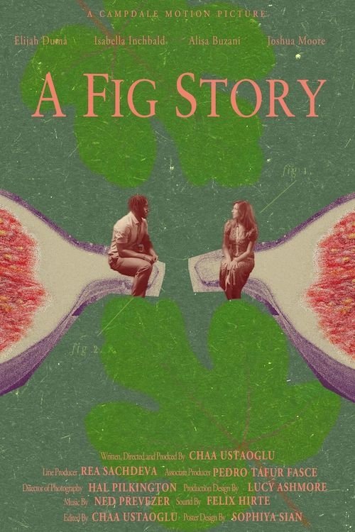 A Fig Story movie poster