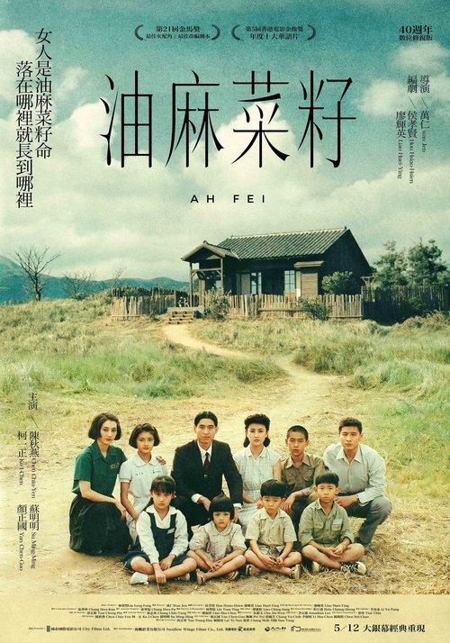 Ah Fei movie poster