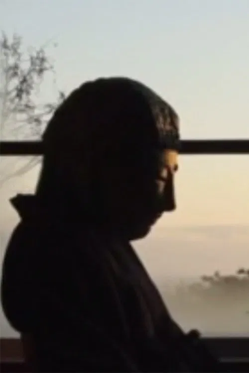 Silent Visitors movie poster