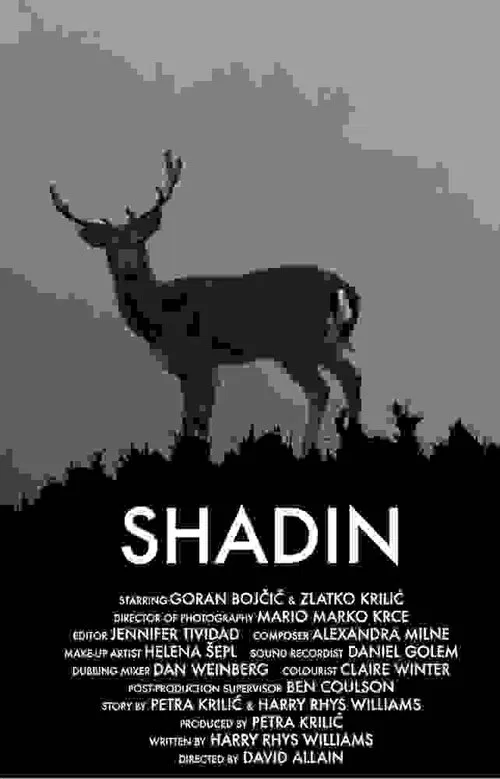 Shadin movie poster