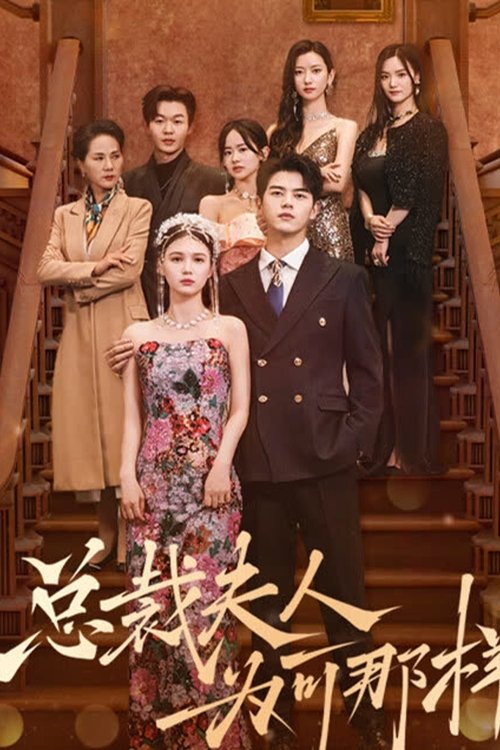 总裁夫人为何那样 tv show poster