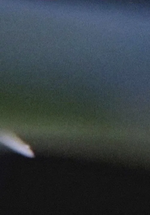 Trace Elements movie poster