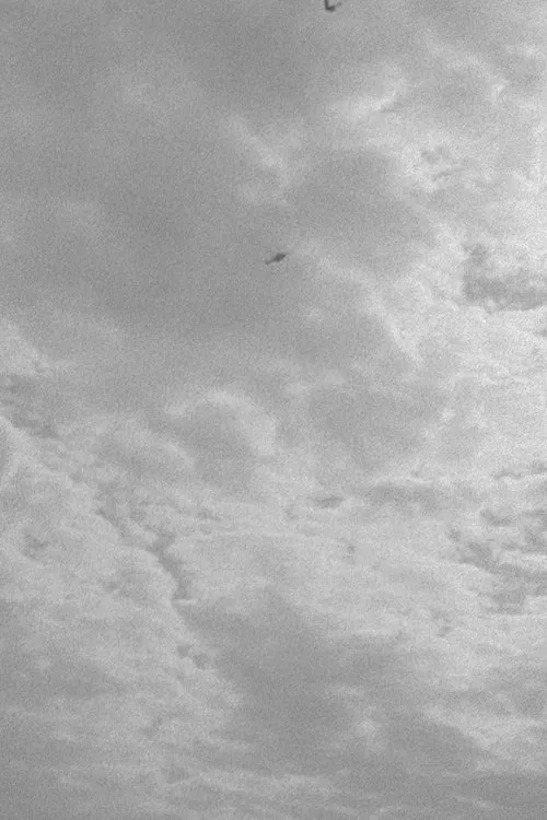 One Document for Hope movie poster