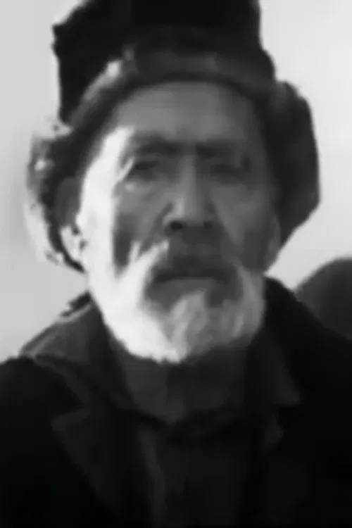 Naryn Diary movie poster