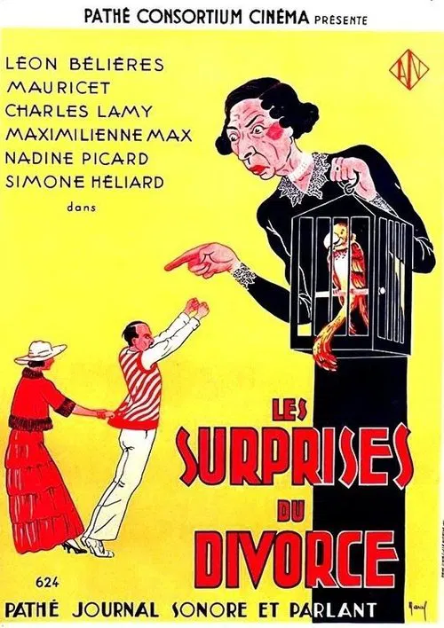 Les surprises du divorce movie poster
