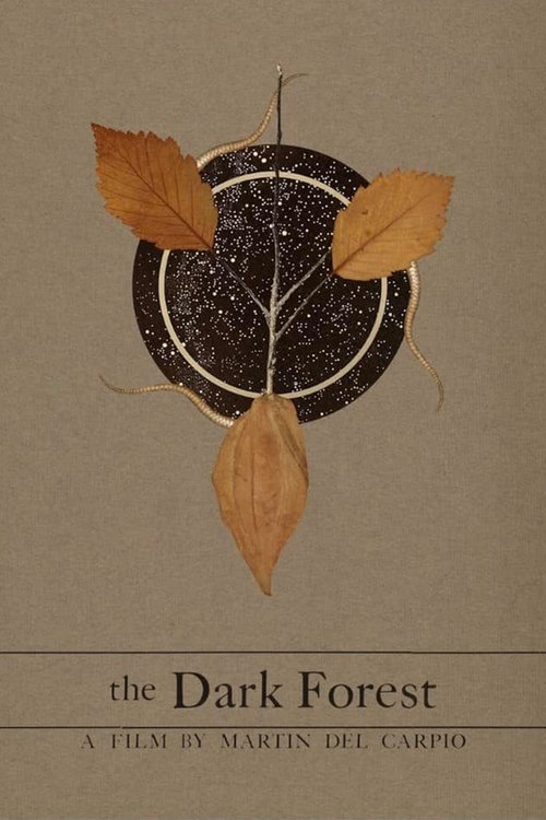 The Dark Forest movie poster