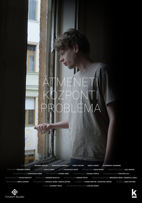 Temporary Central Problem movie poster