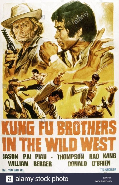 Kung Fu Brothers in the Wild West movie poster