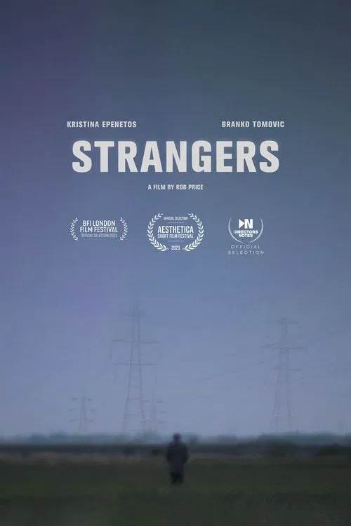Poster do filme Strangers
