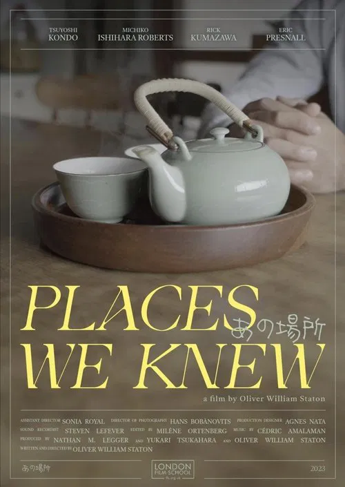 Places We Knew movie poster