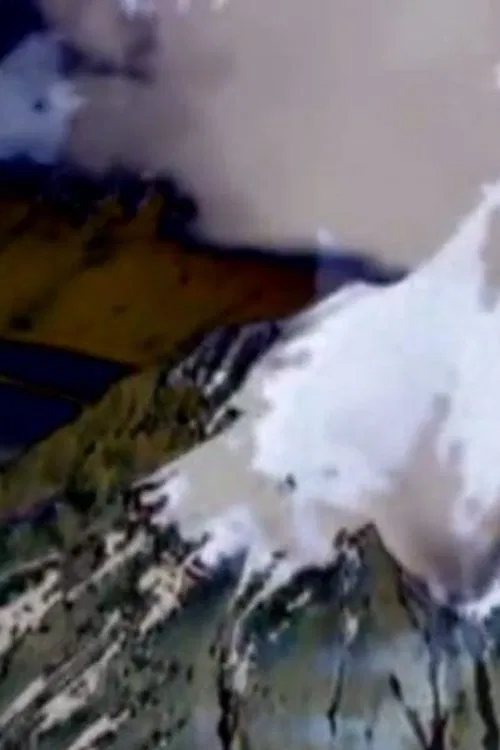 Alaska: A Fusion of Realities movie poster