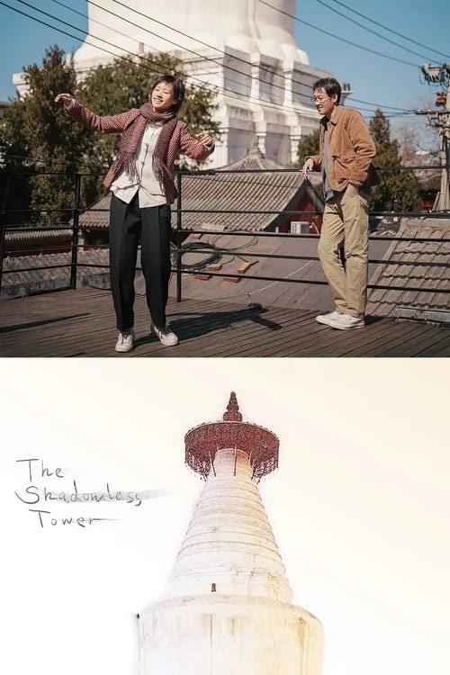 The Shadowless Tower movie poster