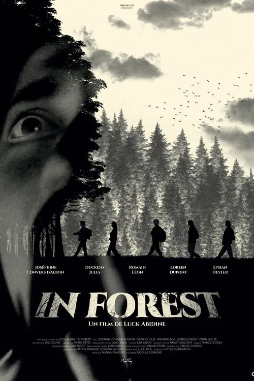 In Forest movie poster