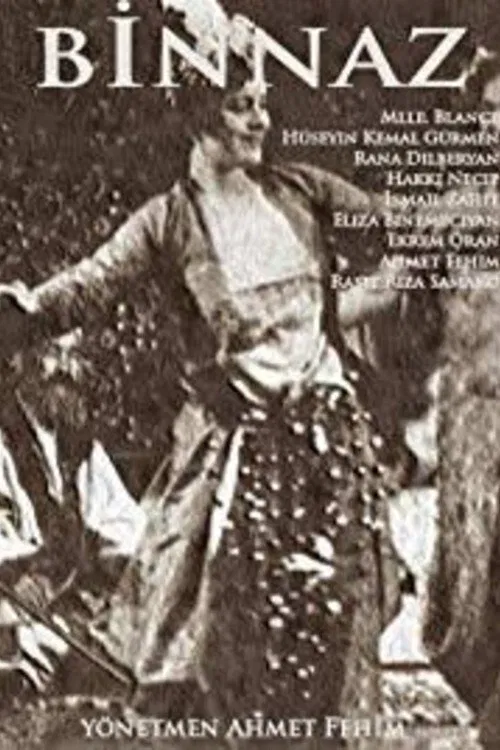 Binnaz movie poster