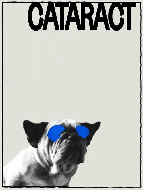 Cataract movie poster
