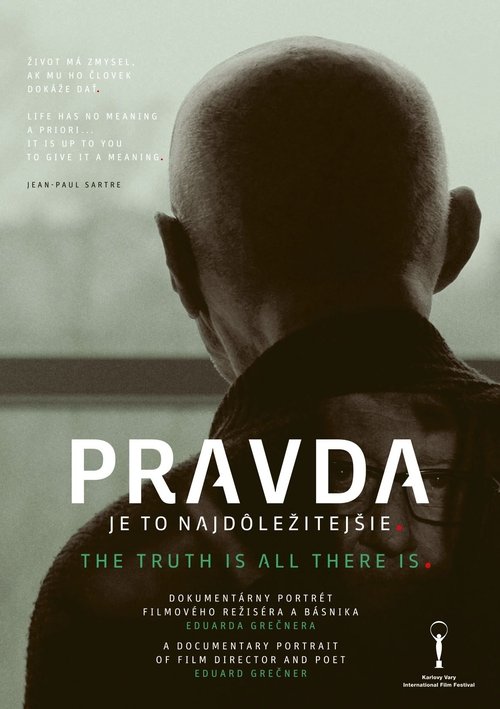 The Truth Is All There Is movie poster