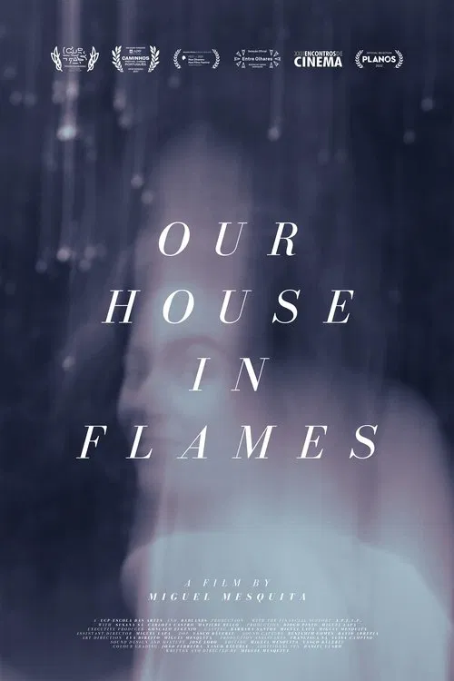 Poster do filme Our house in flames