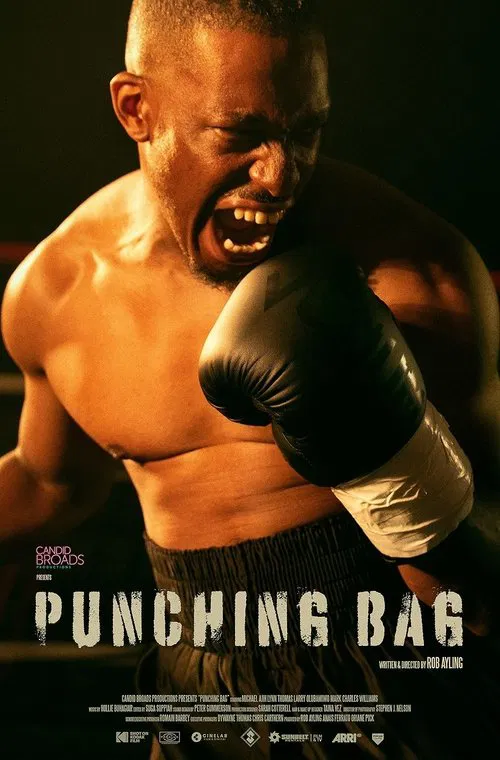 Punching Bag movie poster