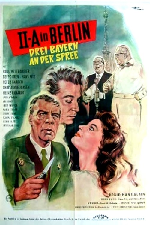 IIA in Berlin movie poster