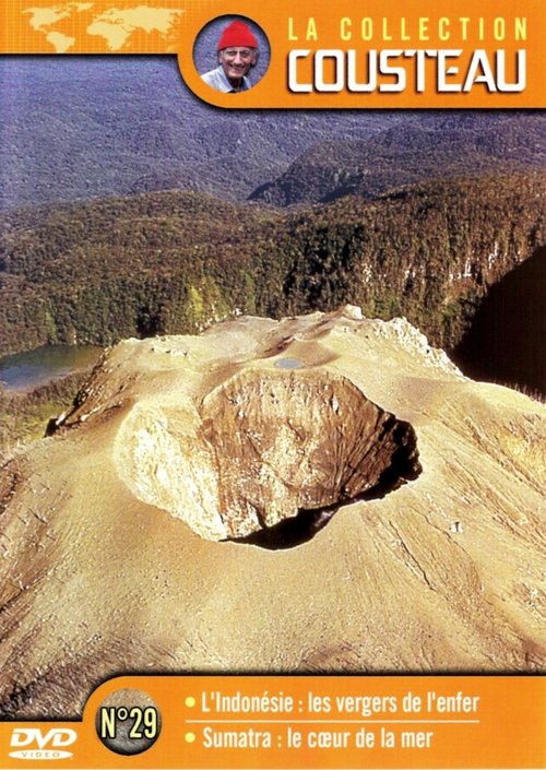 The Cousteau Collection N°35-1 | The Sharks movie poster