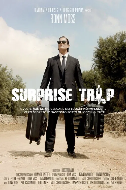 Viaggio a sorpresa movie poster