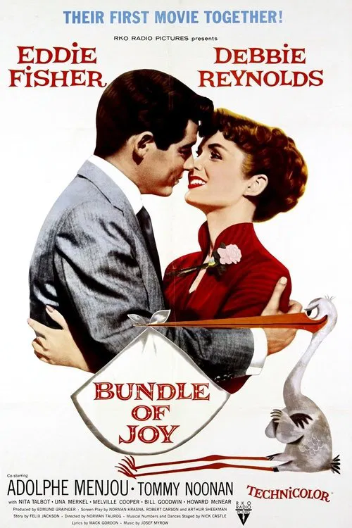Poster do filme Bundle of Joy