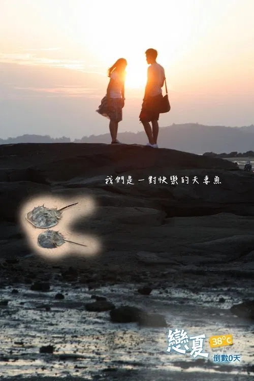 戀夏38℃ tv show poster