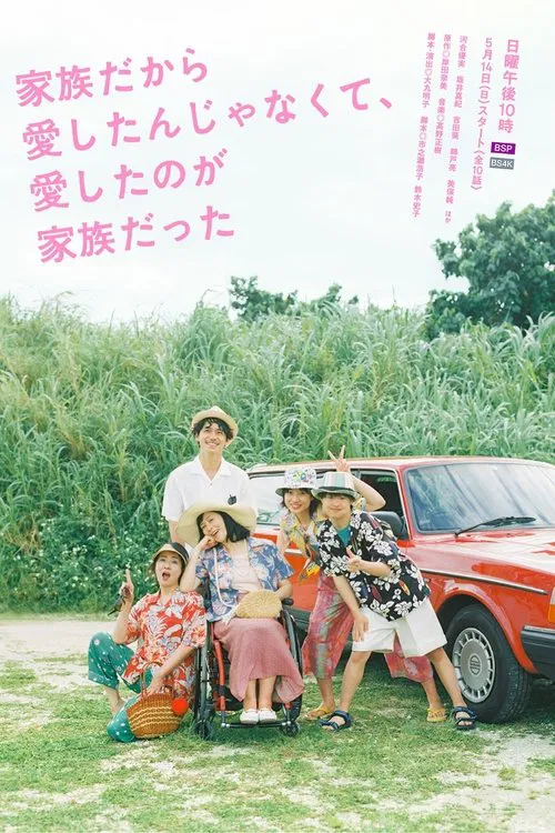 I Didn't Love You Because I Was a Family, But I Loved You as a Family tv show poster