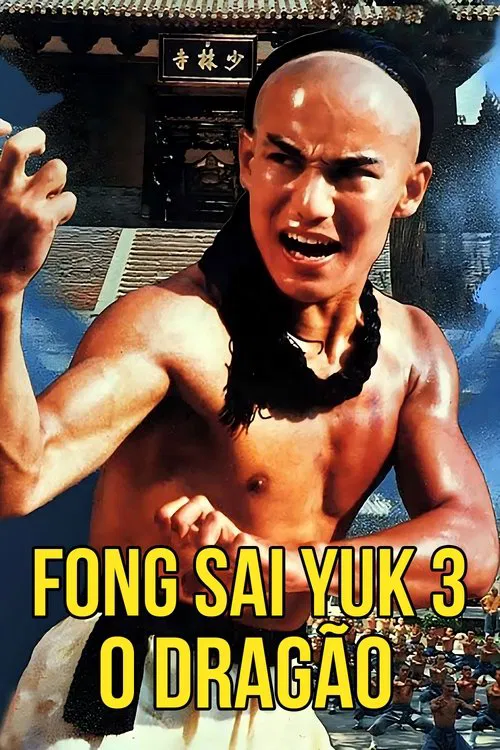 Poster do filme Fong Sai Yuk 3 - O Dragão
