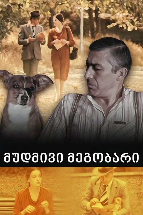 A Permanemt Friend movie poster