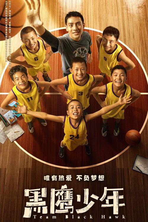 Team Black Hawk movie poster