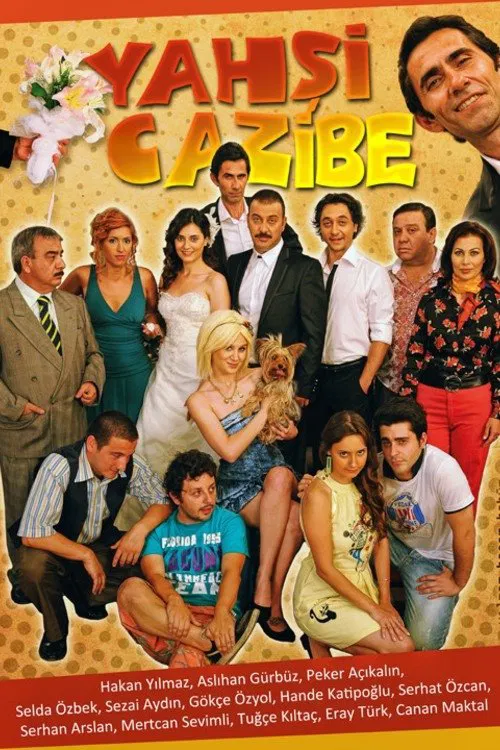 Beautiful Charm tv show poster