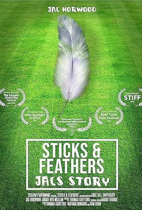 Sticks and Feathers movie poster