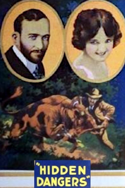 Hidden Dangers movie poster