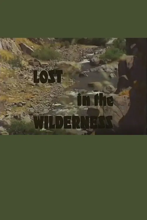 Lost In The Wilderness movie poster