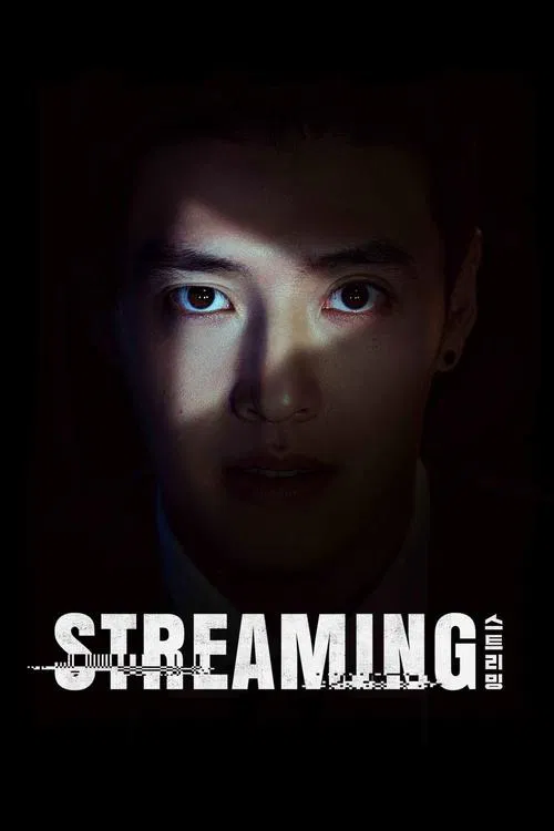 Streaming movie poster