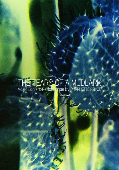 The Tears of a Mudlark movie poster