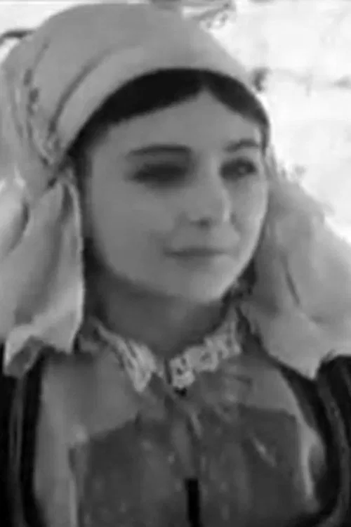 T. Likar profile picture