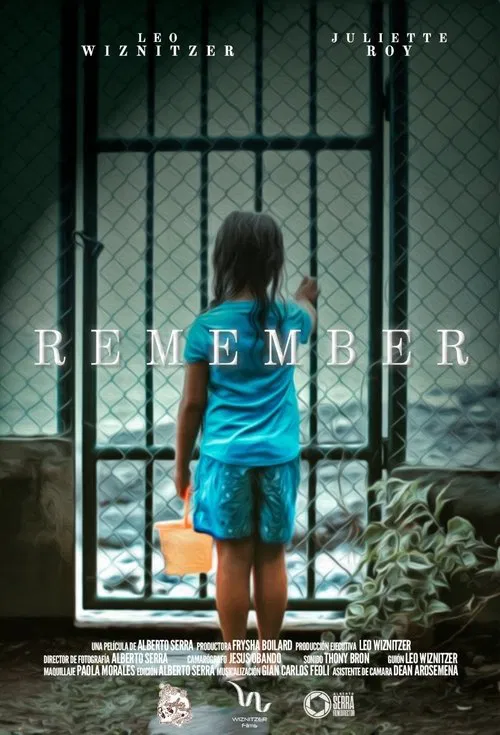 Poster do filme Remember