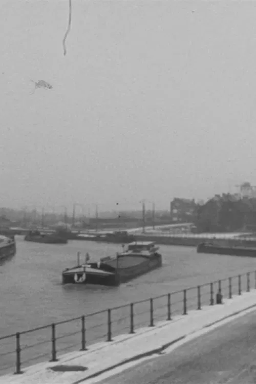 Poster do filme Marins d'eau douce