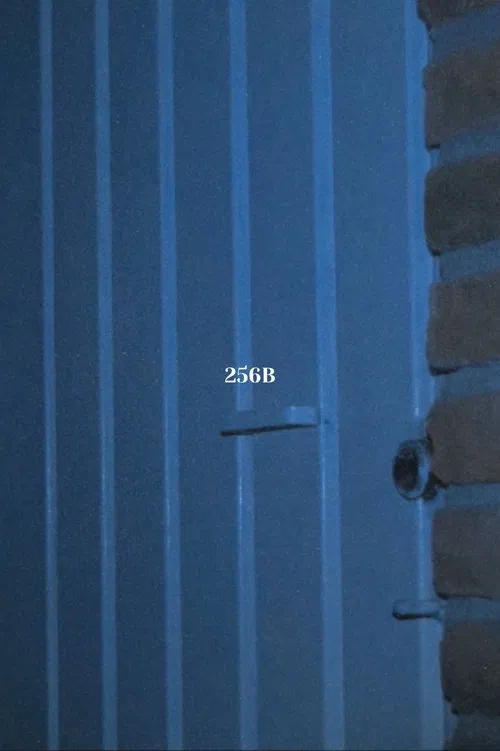 256B movie poster