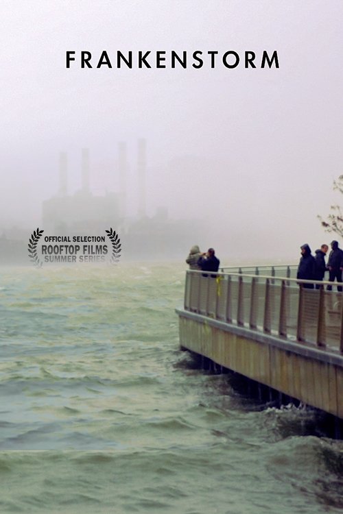 FRANKENSTORM: From Across the East River movie poster