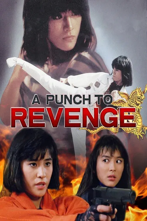 Poster do filme A Punch to Revenge