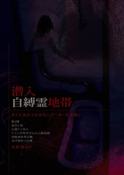 Poster do filme Infiltration: The Haunted Zone - A Female Reporter Goes Alone.