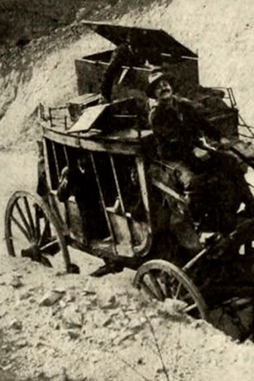 The Driver Of The Deadwood Coach movie poster