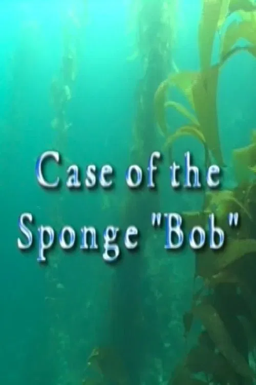Case of the Sponge "Bob" movie poster