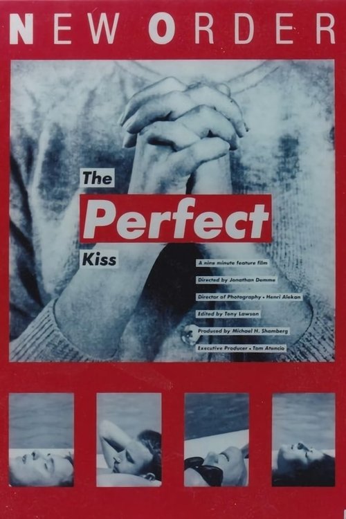 New Order: The Perfect Kiss movie poster