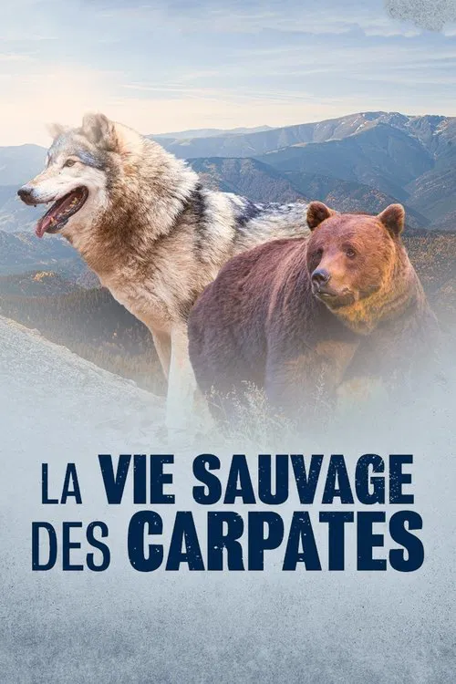 Poster do filme A vida selvagem dos Cárpatos