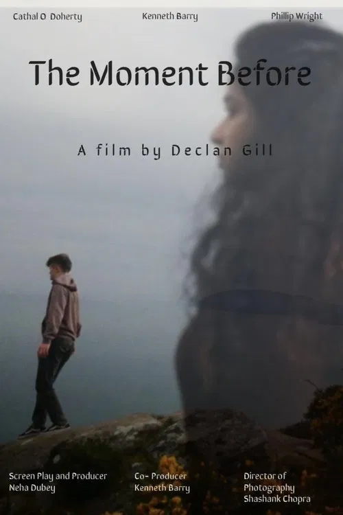 The Moment Before movie poster